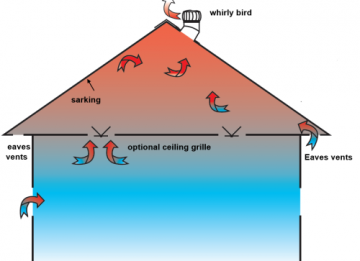 Do You Have Rising Damp in Sydney Or Need Subfloor Ventilation?